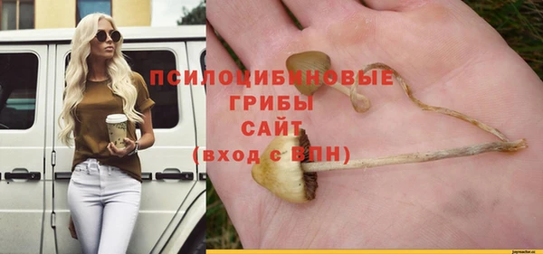 spice Армянск