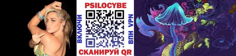 Псилоцибиновые грибы Cubensis  купить закладку  Асино 